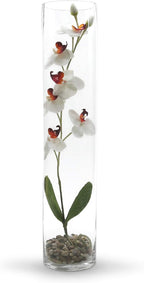 WGV Cylinder Vase Bulk, Diameter 5", Height 24", Clear Glass Floral Planter Container, Tall Centerpiece Arrangement for Wedding Party Event Home Office Decor, 6 Pieces