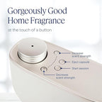 Aera Home Hygiene Geranium - Essential Oil for Home - Soft Pink Petal Fragrance - Notes of Geranium, Palmarosa and Clove Essential Oils - Scent Refill - Capsule Size Works with Mini Diffuser