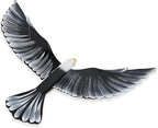 WitnyStore Wooden Bird Mobile 25" Black Flying Eagle Hand Made Painted Wood Flapping Wing Birds Hanging Ceiling Decor Wind Chimes Handcrafted Art Animal Decorative Collectibles Décor Gifts Souvenirs