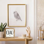 Ciao Wood Sign, Front Door Signs for Porch Decor, Farmhouse Shelf Counter Decor, Home Decor for Living Room, Entryway Decors, Welcome Decoration, Decorative Wooden Table Signs, 5.9×5.9 inches