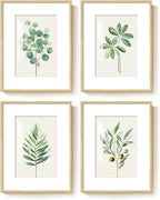 Framed Sage Green Botanical Wall Art for Bathroom, 4 Piece Farmhouse Minimalist Plant Artwork for Walls, Boho Green White Leaf Pictures Prints for Bedroom Kitchen Living Room Wall Decor, 11x14 Inch