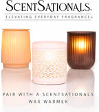 ScentSationals Vanilla Pine Scented Wax Melts - Balsam, Herbs & Vanilla, 10oz (24 Cubes)