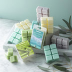 ARVIDSSON Spring Scented Wax Melts, Natural Soy Wax Cubes for Wax Warmer, Strong Scent Fragrance Wax Tarts, Candle Melts Gift Set - After Rain, Fresh Cut Grass, Ocean Breeze, Gardenia and More