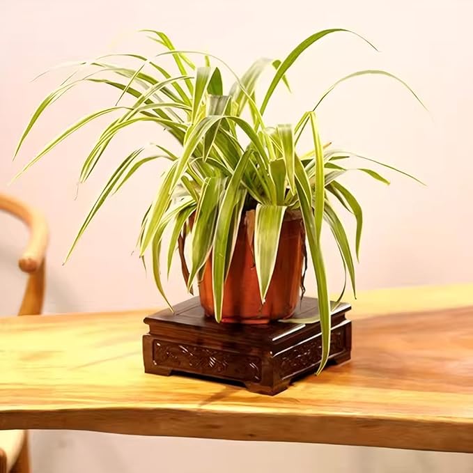 GOLDY&WENDY Handmade Solid Wood Display Stand Square Rosewood Carved Vase Plant Lamp Pedestal Home Decor Base