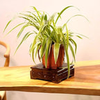 GOLDY&WENDY Chinese Solid Wood Display Stand Square Rosewood Indoor Home Deocr Pedestal Base for Vase Teapot Fishbowl
