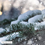 Winter Pine Aroma Oil, Christmas Essential Oil Blend for Diffusers & Scent Machines, Fresh Cut Pine & Fir Tree Fragrance, Cold-Air Diffuser Compatible, 100mL