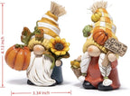 Hodao Fall Gnome Figurines – Pumpkin Gnomes with Checkered Hats, Sunflower, Corn Basket and Give Thanks Sign – Thanksgiving/Harvest Home Decor & Gift for Tiered Tray, Mantel, Tabletop, Windowsill