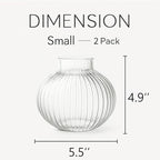 Round Glass Vases, Set of 2 Small Vases for Flowers, Clear Glass Vase for Tulips, Modern Vase for Living Room, Office, Coffee Table, Shelf, Wedding, 5 Inches