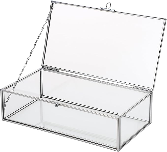 Hipiwe Glass Keepsake Display and Jewelry Organizer With Lid - Silver Decorative Clear Rectangle Storage for Trinket Perfume Collection - Gift for Birthday Anniversaries, Large