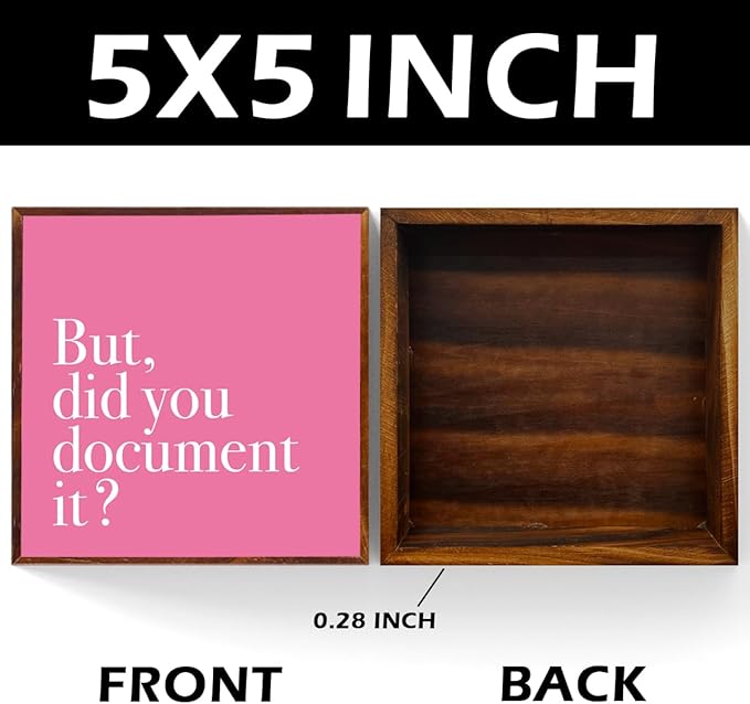Pink Office Decor, Pink Dorm Decor, But Did You Document It Sign Rustic Wood Plaque Box Sign Gift for Women Men Coworkers Boss, Home Office Bathroom Bedroom Desk Shelf Table Decoration