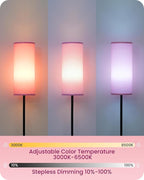 2 Pack Dimmable Pink Floor Lamps for Living Room with 2 Remotes and Foot Switch, Corner Floor Lamp, 64.4'' Standing Tall Lamp, 10W 900LM Bulb Included, 3000K-6500K, Linen Shade, FCC Listed P06LDP205W1