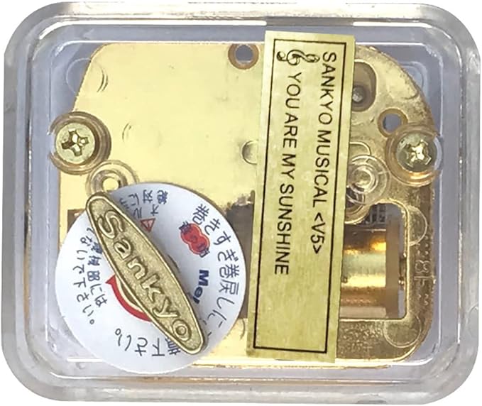 BinkeGG Play (Beauty and The Beast) Clear Acrylic Wind up Music Box with Sankyo Musical Movement (65 Tunes Option)