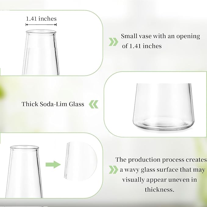 Glasseam Clear Flower Vases for Centerpieces: Modern Glass Vase Set of 12 for Wedding Party Centerpiece Home Table Decor 5.5In Small Bud Vases for Flowers Rose Tulip Stems