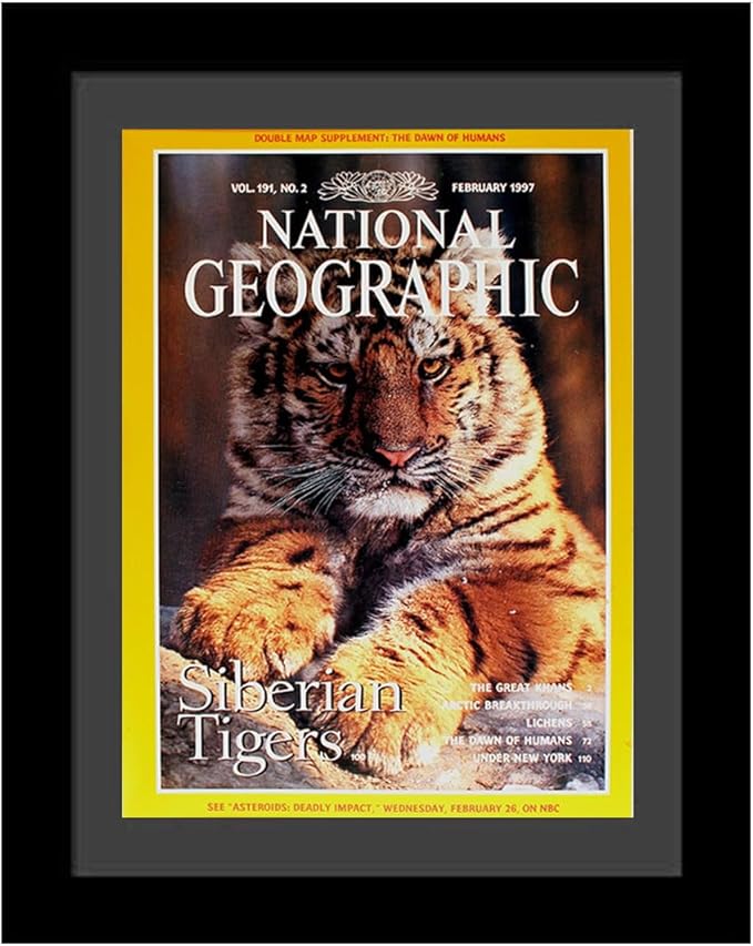 Creative Picture Frames 10 x 12 Magazine Frame with Full-Strength Glass, Holds Up To A 1/4" Thick Media with Installed Hangers for Easy Mounting, 12x14 Manhattan Black Frame with Black Mat