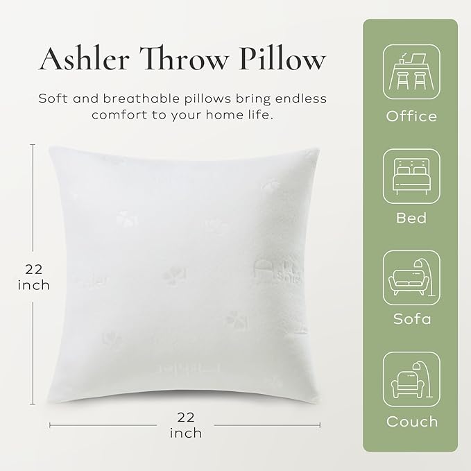 Ashler Throw Pillow Inserts 22 x 22 Inches Set of 4, Indoor Decorative Pillows, Soft and Firm Pillows with Air Layer, Square Cushion Sham Stuffer for Couch and Living Room