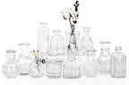 Mini Bud Vases Centerpieces for Tables,Clear Bud Vases for Flowers,Small Flower Vases Suitable for Birthday Party,Anniversary,Wedding Reception,Baby Shower (Clear, 12PCS)