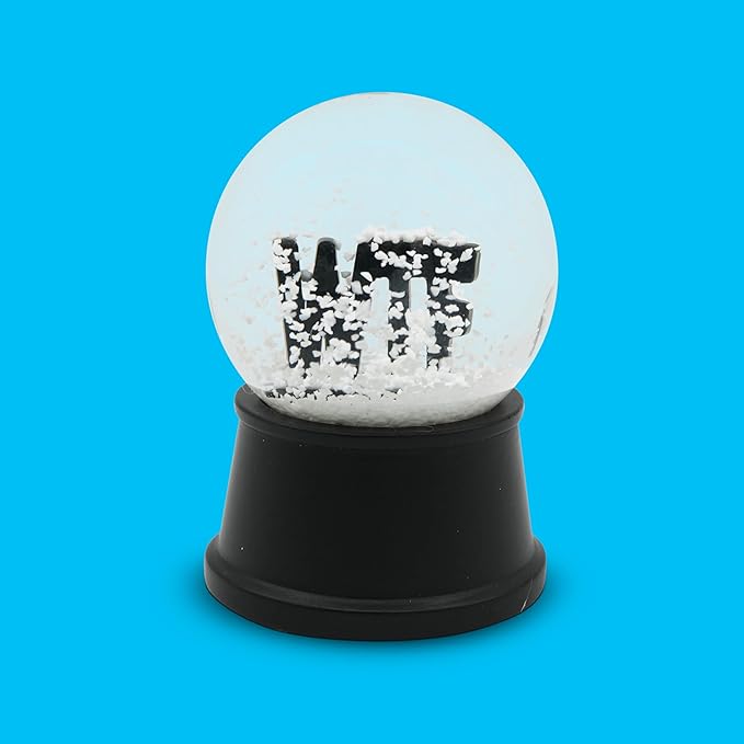 Funny Novelty Snow Globe – Quirky Mini Desk Gift for Office, Home, or Holiday – Unique Collectible Gag Gift for Friends and Coworkers - WTF