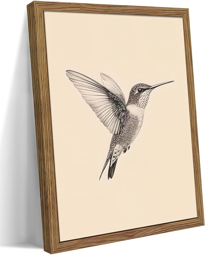 Vintage Framed Wall Art, Birds Canvas Prints, Hummingbird Sketch Painting Picture, Neutral Farmhouse Artwork Wall Decor for Living Room Bedroom – Dark Wooden Frame 12x16in