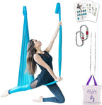F.Life Aerial Silk Yoga Hammock & Swing for yoga Inversion,Strength training,starter hardware kit