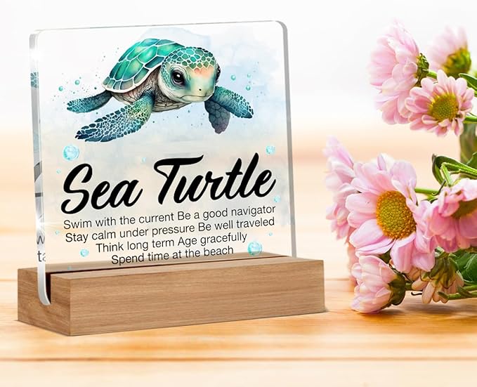 Inspirational Motivational Gifts - Turtle Gifts for Women Men - Sea Turtle Clear Desk Decorative Sign Home Decor