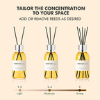 Clesh Reed Diffuser Set, 6.7 oz Sandalwood Scented Diffuser with Sticks, Home Fragrance Reed Diffuser for Bathroom Shelf Decor