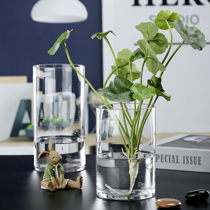 WGVI Quality Thick Clear Cylinder Glass Vase, 3" W x 5" H, Floral Container, Glass Candle Holder, Flower Vases, Wedding Centerpiece, Planter Terrarium, Table Top Home Décor Accent, 6 Pieces