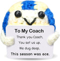 Handmade Collectible Volleyball - Thank You Gift for Coach,Volleyball Coach Appreciation Gift,Team Gifts from Players,InspirationalSports Decor & Memory Keepsake for Volleyballs Lovers