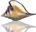 QFkris 8.4" Glass Conch Figurines, Hand Blown Seashell Art Figurine, Crystal Glass Paperweight, Home Decor Collectible Statue