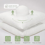 Ashler Throw Pillows Insert- 18x18 Pillow Inserts with Air Layer, Premium Bed and Couch Pillows - Indoor Decorative Throw Pillow, Square Cushion Sham Stuffer, Pack of 2, White