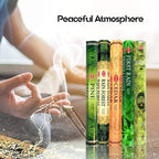 HEM Forest, Cedar, Pine, Rain Forest & First Rain Incense Sticks Combo – 5 Fragrances | 120 Sticks Total | Handcrafted, Long-Lasting Aroma for Meditation, Yoga, Relaxation & Home Freshness