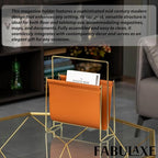 Fabulaxe Magazine Holder and Rack for Desktop, Home Office, Living Room, Waiting Areas, Farmhouse File Storage, Basket for Letters, Magazines, Books, Newspapers and Other Reading Materials 14-Inch