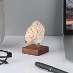 Hipiwe 2 Pack Crystal Display Stand with Wood Base, Adjustable Metal Arms Display Stand Easel for Displaying Geodes Rock Mineral Agate Coral Seashell,Small,2 x 2 x 2.9 Inches