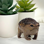 MOLMH Weird Queer Grumpy Frog Toad Statue Ugly Angry Outdoor Garden Yard Decor Statue Fun Novelty Home Office Decor Sculpture Unique Gift