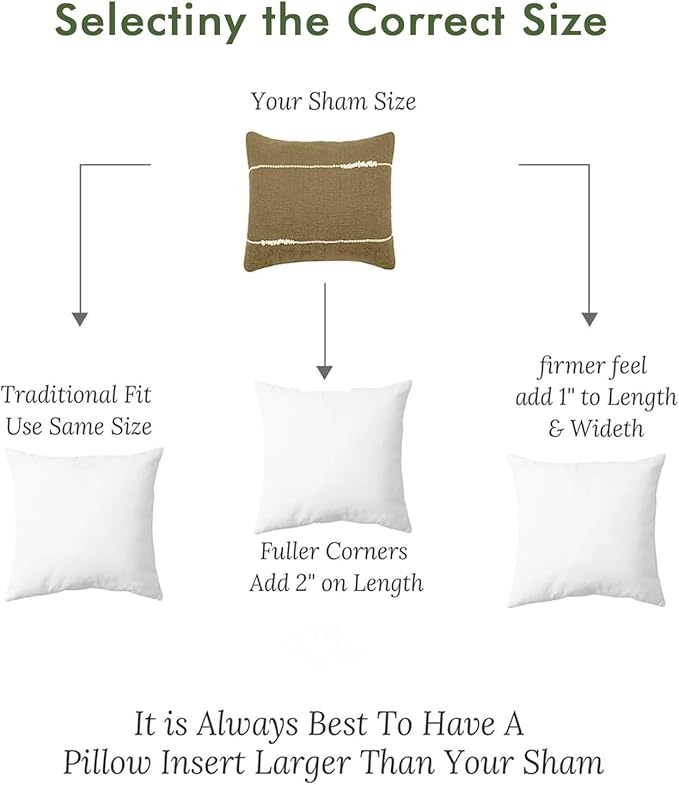 Feathers Down Throw Pillow Inserts 22x22, Set of 2, 100% Organic Cotton Shell, Soft Decorative Square Pillows Insert for Living Room Sofa, Couch, or Bed (White)