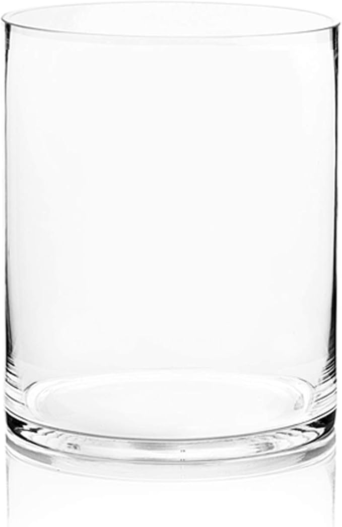 WGV Cylinder Vase, Width 8", Height 10", Clear Wide Large Diameter Flower Glassware, Floral Container, Planter Terrarium for Wedding Party Event, Home Accent Decor, 1 Piece