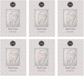 Bridgewater Candle Sachet Air Freshener Bag for Home or Car 6 Pack-Sweet Grace