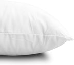EDOW Throw Pillow Inserts, Set of 4 Lightweight Down Alternative Polyester Pillow, Couch Cushion, Sham Stuffer, Machine Washable. (White, 20x20)