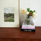 3 PCS Faux Decorative Books for Home Decor-Coffee Table Books Decor-Aesthetic Fake/Faux Books for Decoration,libros Decoration for Coffee Table, Shelf Accessories (3-Mix-MilanNewYorkLondon)