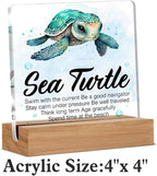 Inspirational Motivational Gifts - Turtle Gifts for Women Men - Sea Turtle Clear Desk Decorative Sign Home Decor