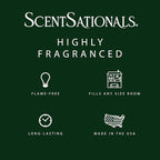 Scentsationals Woodland Spruce Scented Wax Melts - Amber Birch, Eucalyptus, & Sage, 10oz (24 Cubes)