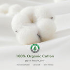 Feathers Down Pillow Inserts 14x22, Set of 2, 100% Organic Cotton Shell, Soft Decorative Lumbar Pillow Insert for Living Room Sofa, Couch, or Bed (White)