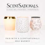 ScentSationals Cedar & Lavender Scented Wax Melts - Lavender, White Cedar, & Mahogany, 10oz (24 Cubes)