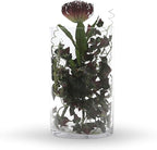 WGV Cylinder Vase, Width 7", Height 12", Clear Wide Large Diameter Flower Glassware, Floral Container, Planter Terrarium for Wedding Party Event, Home Accent Decor, 1 Piece