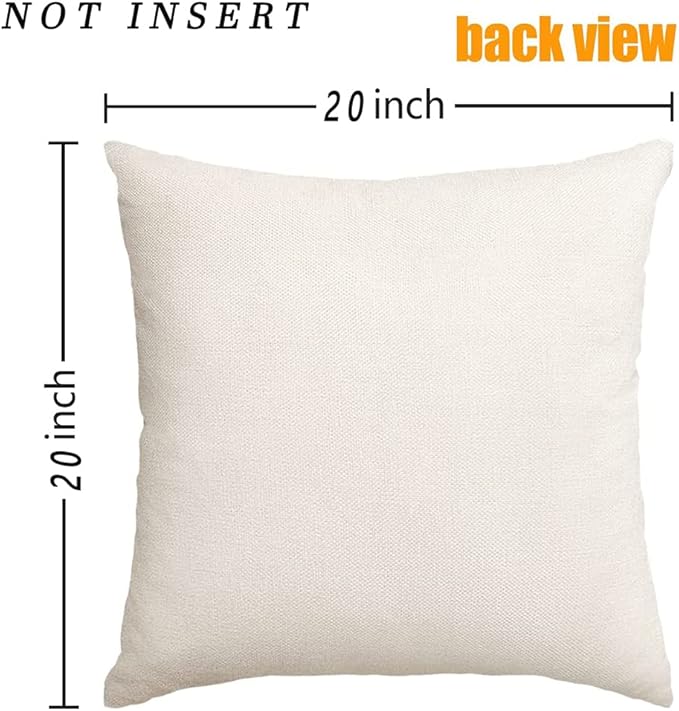 RABUSOFA Spring Summer Pillows Decorative Throw Pillows 20x20,Large Outdoor Bird Pillow Covers,Single Watercolor Hand-Painted Oil Painting Rustic Birds Square Pillow Cases for Couch Sofa