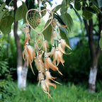 Dream Catcher with Feathers, Heart Shaped Dream Catcher Indians Traditional Love Net Wall Hanging Bedroom Home Car Decor (Beige)