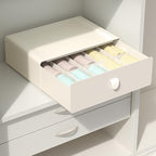 Underwear Organizer Drawer, 10 Cells Plastic Panties Drawer, Stackable Closet Organizer, Storage Box for Bras, Socks, Snacks, Beige