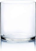 WGV Cylinder Vase, Width 7", Height 7", Clear Wide Large Diameter Flower Glassware, Floral Container, Planter Terrarium for Wedding Party Event, Home Accent Decor, 1 Piece