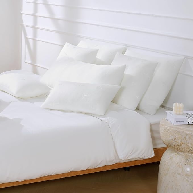 Ashler Throw Pillow Inserts 22 x 22 Inches Set of 2,Firm and Fluffy Decorative Square Pillows with Air Layer, Indoor Square Cushion Stuffer for Couch Bed Sofa and Living Room