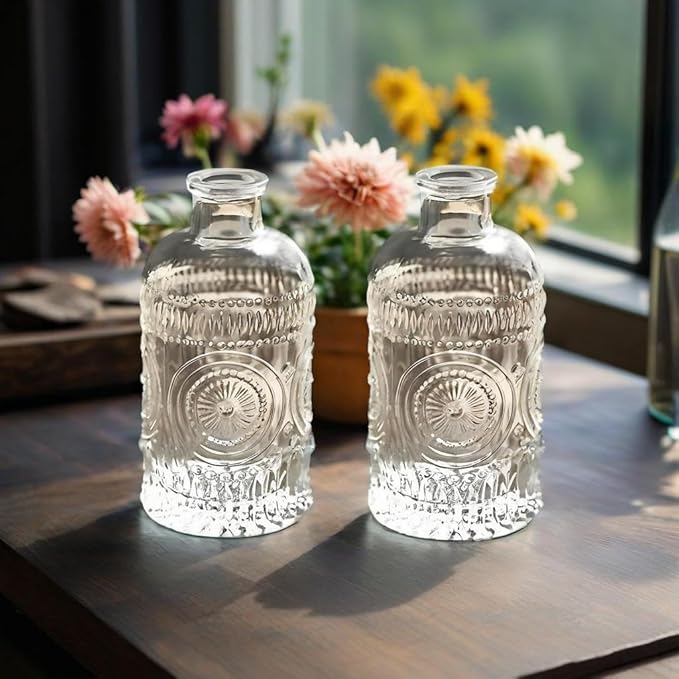 2Pcs Propagation Vases for Plants, Bud Vases, Small Glass Vase for Flowers, Home and Table Decor, Shelf, Desk, and Office