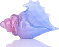 DOVDOV Hand-Blown Glass Conch Sculpture, Coastal Home Decor Conch Horn, Glass Art Seashell Ornament, Office, Living Room Tabletop Centerpiece, Bathroom Shelf top and Cabinet Decoration.